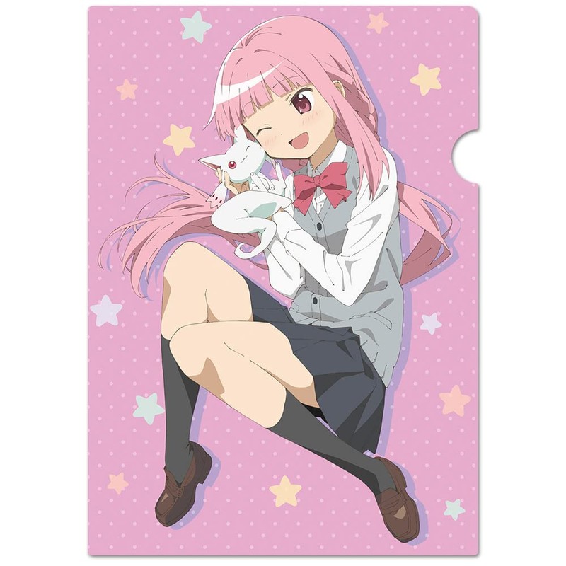 Magia Record Puella Magi Madoka Magica Side Story: Clear File