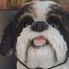 Vivid Arts (Sitting Shih-Tzu Black
