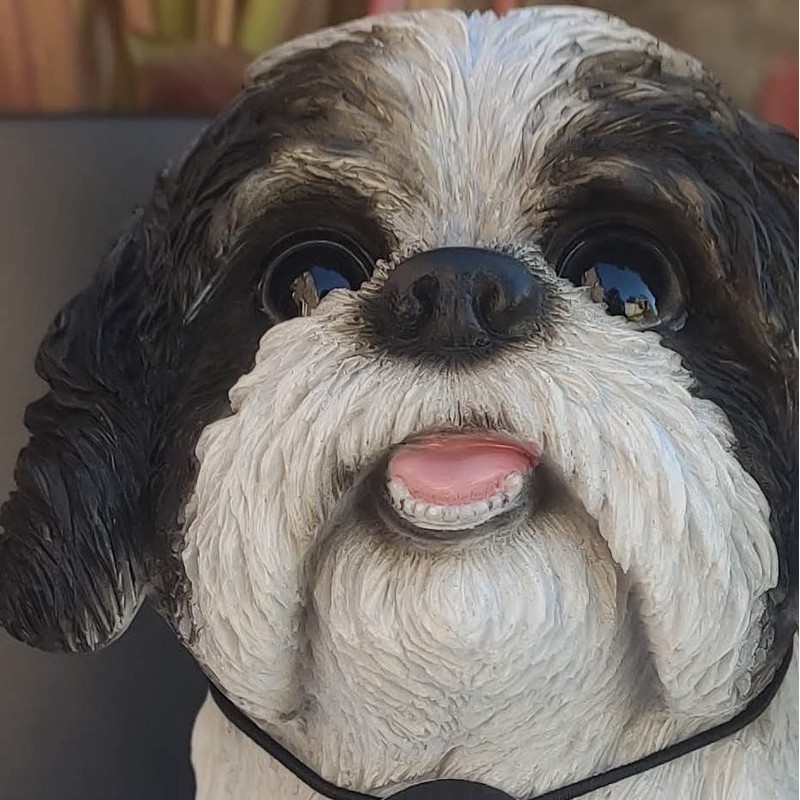 Vivid Arts (Sitting Shih-Tzu Black