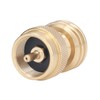 Propane Tank Adapter Small Brass Propane Refill Valve Gas Tank