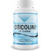 Citicolina Choline 530mg (120 Cápsulas) Absonutrix Sabor Sin Sabor