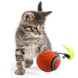 SUJAHHUJIQ Interactive Cat Toy Ball Electric Automatic Toys for Indoor Cats 2 Modes Irregular Movement Cat Toys for Indoor Cats Adult All Floors & Carpet Available