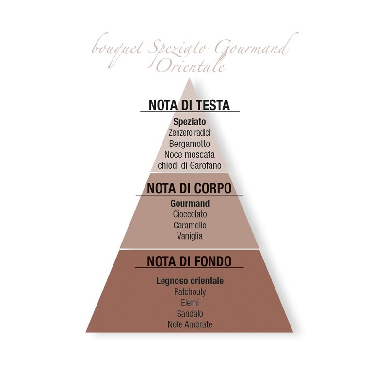 Helan - Home Fragrances Refill Aromatic Sticks Cocoa Ginger 250