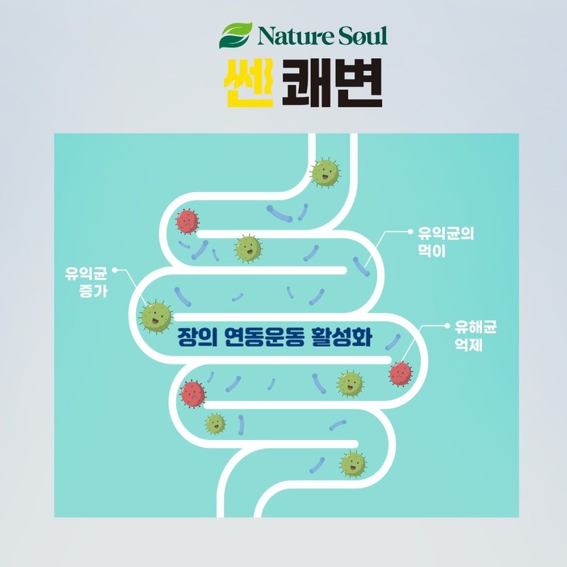 두리농산 2+2 쎈쾌변 120정 X 2병+2병덤 (총4병) 프리바이오틱스