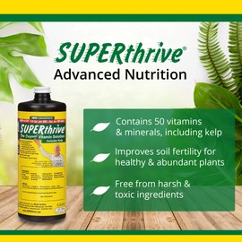 SUPERthrive Superthrive Orig Vitamin Solution, 1 Quart (1)