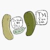 Magnet Pickles Magnet Bumper Sticker Car Magnet Flexible Reuseable Magnetic