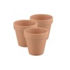 3Pk 2.5" Terra Cotta Pot