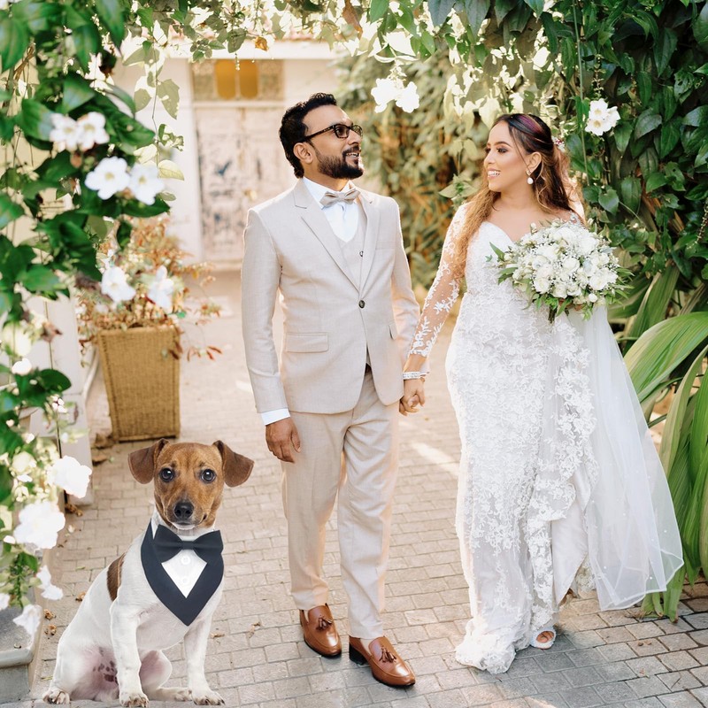 KOOLMOX Tuxedo for Large Dogs Wedding Attire, Black Tux Bow