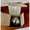 Bulbrite Half Chrome G-40 Large Inconsistent 60w 120V Bulb Bulbrite.