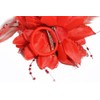 Caprilite Scarlet Red Fascinator Corsage Flower Petals Feathers Handmade
