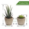 Coitak Artificial Succulent Plants Potted, Assorted Decorative Faux Succulent Potted