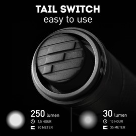 Favour LED Torch with Clip Holder, 250 Lumens, 2 Light Modes, Shockproof and Waterproof IP66, Compact and Lightweight, Ideal for Toolbox, Work and Hobby