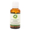 R V Essential Pure Asafoetida (Heeng) Essential Oil 10ml (0.338oz)-