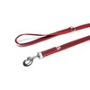 Color & Gray Super-Grip Leash with Handle, and D-Ring, 20