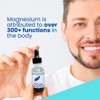 No Crap In It Magnesium Belly Oil (1.5 Fl Oz