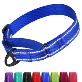 Collardirect Reflective Martingale Dog Collar Nylon Training Collars for Small Medium Large Dogs Puppy Pink Orange Green (M, Neck Size 13"-18", Blue)