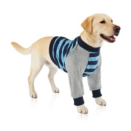 GLIDESMOOTH Recovery Suit for Dogs, Comfortable Post-Operative Clothing, Dog Recovery Suit, Provides Protection for Dog's Front Leg and Arm Wounds, X-Large, Blue