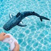 Remote Control Shark Pool Toy – 2.4GHz RC Swimming Shark