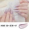 Sun&Beam Nails One-Step Gel Nail, 3-in-1 Magnetic Gel, 0.4 fl