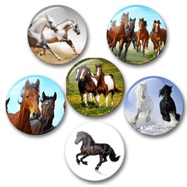 Merchandise for Fans 05 Large Fridge Magnets Horse Design Black Foal Set of 6