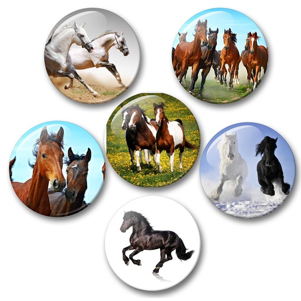 Merchandise for Fans 05 Large Fridge Magnets Horse Design Black