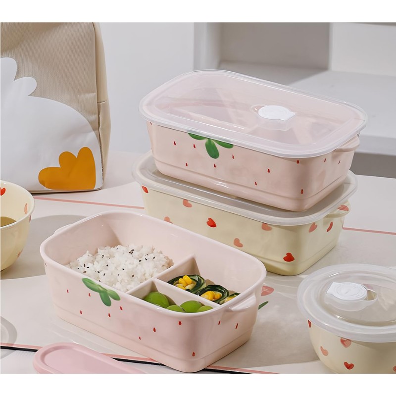 Ceramic Lunch Box, Divided and Covered Lunch Box with Good