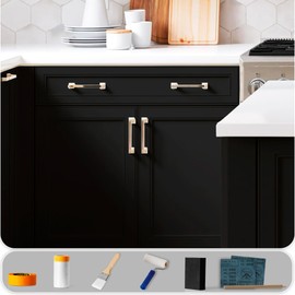 GELIVABLE Waterbased Furniture Paint, Matte Finish for Cabinets, Doors, Tables, and Dressers Refinishing - With Tools, 16 Fl.Oz (Black)