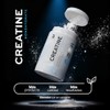 B Life Creatina Monohidratada Micronizada en Polvo de Alta Pureza
