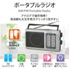 Ohm Electric AudioComm Portable Radio AM/FM RAD-T207S 03-0973 OHM