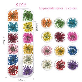 Jauomune 2 Boxes 3D Dried Flowers for Nail Art, 24 Colors Mini Natural Real Dry Flowers Nail Stickers for Tips Manicure Decor Mixed Accessories (DIY Five Petal Flower Leaf Gypsophila Dry Flower)
