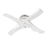Replacement Paddle Blade for NC101 NC201 NC205 NC300 NC301 Stainless