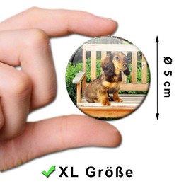 Fridge Magnets Dachshund Look Set of 6 Decorative Gift Set Dogs Magnets Animals Funny for Women Girlfriend Children Strong Large 50 mm Round Colourful