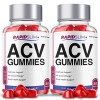 Rapid Slim ACV Gummies Supplement, RapidSlim Max Strength Formula (2
