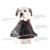 All Four Paws Comfy Cone Pet Cone for Dogs, Cats,