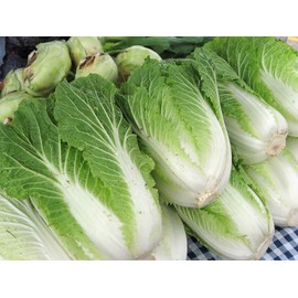 CEMEHA SEEDS - Seeds Napa Cabbage Peking Chinese Green Giant Non GMO Vegetable for Planting