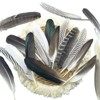GYBZZR 12Pcs Natural Craft Feathers Long 8-10 Inch-Bulk Feathers for