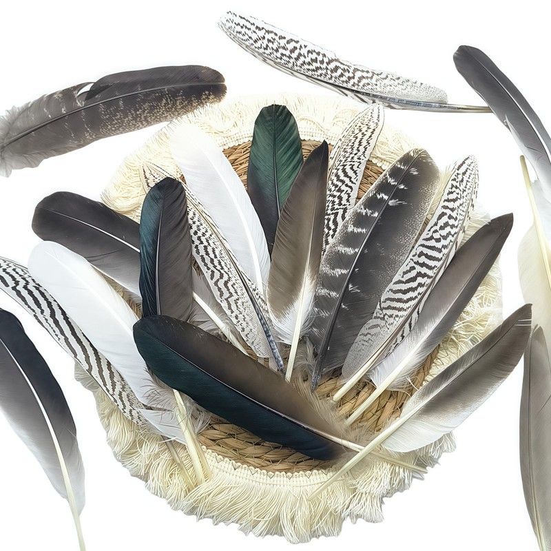 GYBZZR 12Pcs Natural Craft Feathers Long 8-10 Inch-Bulk Feathers for