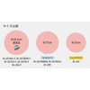 SASAKI M20AF Gymnastics Ball, F.I.G. (International Gymnastics Federation) Certified, Ice