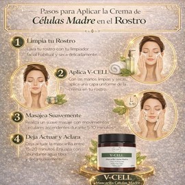 IEF Clinic V-Cell Mascarilla Profesional con Células Madre, Ácido Hialurónico, Colágeno y Elastina (100gr)                                            