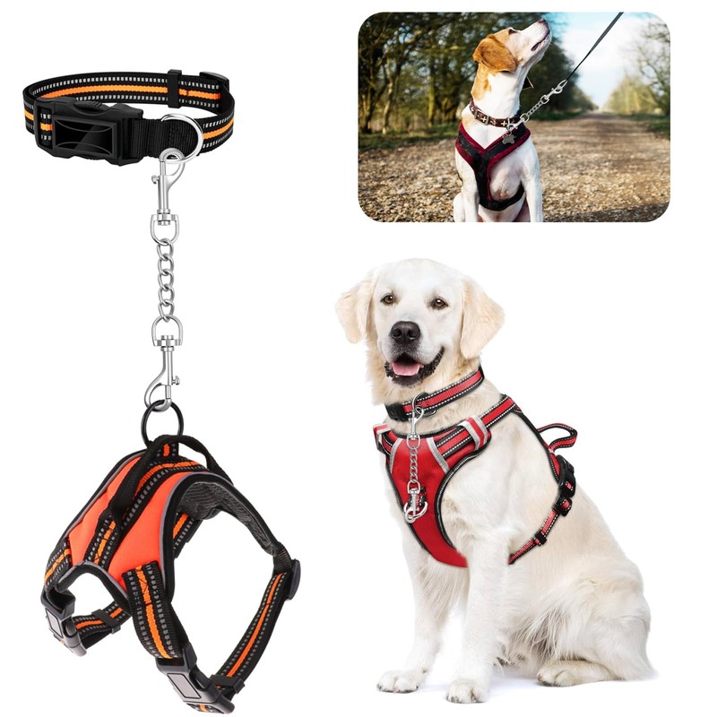ElevateTech Metal Dog Collar Safety Clip 2 Pack Stainless Steel