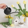 Watering Can 500ML Stainless Steel Long Spout Watering Pot for