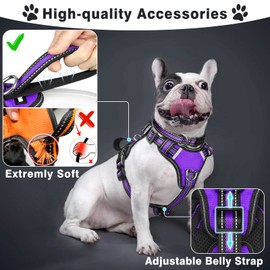 WINSEE Pet Harness Collar and Leash Set, All-in-one Reflective Dog Harness No Pull with Adjustable Buckles for Puppies, Small, Medium, Large, and Extra-Large Dogs (Small, Purple)