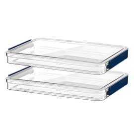 RHONZHAO 2 Pcs Plastic Portable Project Case, Clear Stackable Storage Boxes Organizer for A4 Files, Scrapbooks, Art Supplies (‎Blue Latch, Small)