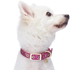 Blueberry Pet 10+ Colors The Most Coveted Designer Mixed Metallic Thread Dog Collars