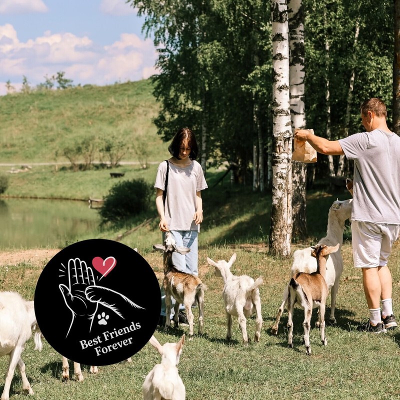 High-Five Best Friends Forever Magnet with Man and Dog Creative