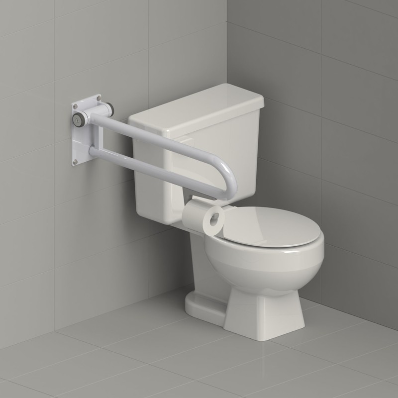 HealthCraft Products Toilet Roll Holder: P.T. Rail Toilet Roll Holder