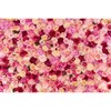 7x5ft Roses Flowers Backdrop Valentine's Day Pink Red Roses Photography
