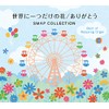 世界に一つだけの花 ありがとう SMAP コレクション ベストアルバム オルゴール スマップ cd リラックス