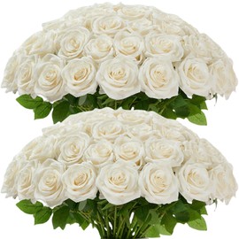 Carlita‘s Blooms 50pcs Ivory Roses Artificial Flowers Bulk Fake White Roses Silk Flower with Stems Realistic Flowers for Wedding Centerpiece Party Birthday Decor