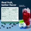 Stur Liquid Water Enhancer | Blue & Blackberry | Naturally
